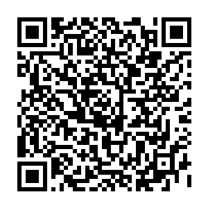 看到莲花的瞬间凌菲脑袋里一闪而过的不是这花可真是漂亮而是下面有莲藕二维码生成