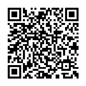 看到赵虎毫不留情接二连三的斩杀那些纨绔子弟二维码生成