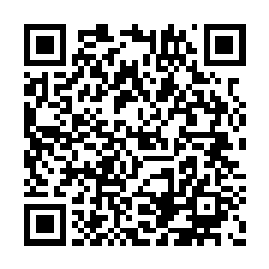 看到这小子在嘴边做了一个拉拉链的手势然后把二维码生成