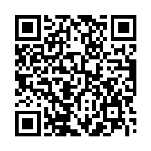看到那再次出现在视线中的六名上仙二维码生成