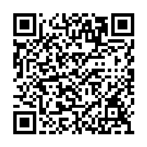 看到闻人照那张精致漂亮的小脸上竟然布满哀伤二维码生成