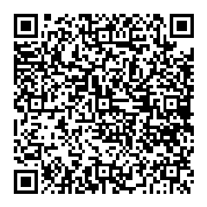 看到高能白磷凝胶弹造成的火焰居然在这个黑袍骑士的手中燃烧了半天却没有让这个气息森冷古怪的黑袍骑士掉了半根毛二维码生成