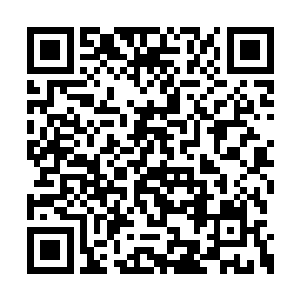 看向了她身后不远处亭亭玉立而安静的红尘仙子二维码生成