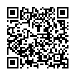 看向小宝的目光中更是带有一股从未出现过的柔和二维码生成