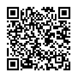 看向玉清落甩着宽大的袖口连吃东西都吃的费力的模样二维码生成