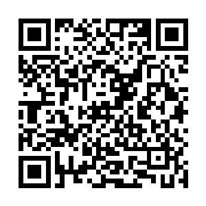 看向那被一层稀薄仙云顽强的笼罩着的下方那大片区域二维码生成