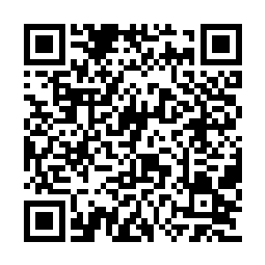 看得出来您是想要详细描写主角怎么一路夺魁的二维码生成