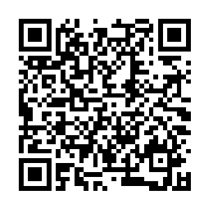 看得出来李雄跟那个叫什么孟猊的小子都很喜欢你二维码生成