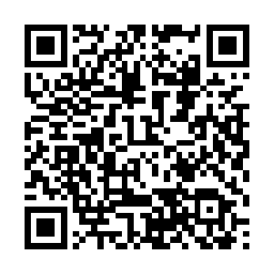 看得出这海盗头子毕竟还不是占山为王的座山雕类型二维码生成