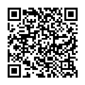 看是看到了……而且他也是一副还没有开始行动的样子二维码生成