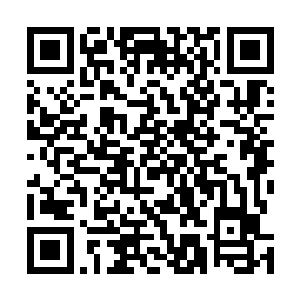 看最全｜新最快的小说这个时候他们才想起来管许家要钱二维码生成