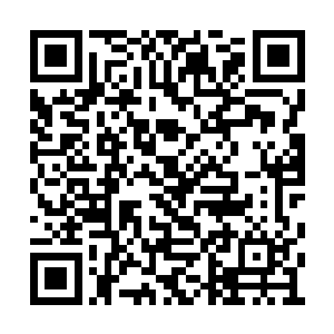 看来上次魔王大人的计划肯定是被你们破坏的吧二维码生成