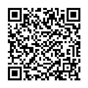 看来之前那两只红眼乌鸦就是它们吸引过来的了二维码生成