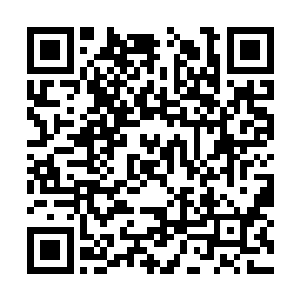 看来他的后代是非常挑战常识和正常审美观的造物二维码生成