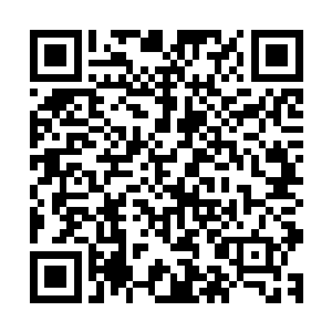 看来你一早就知道我手中的这枚魔兽蛋是个什么魔兽了对不对二维码生成