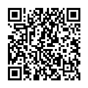 看来你们回去之后要好好的整顿一下你们这些家族里面的人了二维码生成