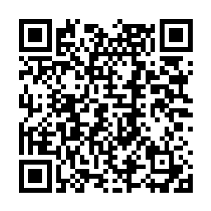 看来你们这群愚蠢的妖蛮已经忘记当年的古妖之威二维码生成