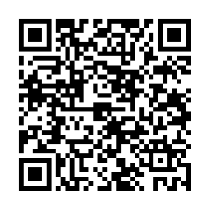 看来你准备将猩红小队托付给我是个不太明智的选择呢二维码生成