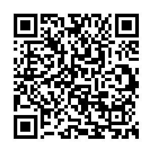 看来六位朋友不愿意遵守我们角斗场的规矩了呢二维码生成