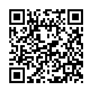 看来其余的小狗已经都被小太妹带走了二维码生成