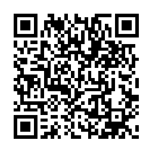 看来南荒土著人要在这里损失六个元婴期修士了二维码生成