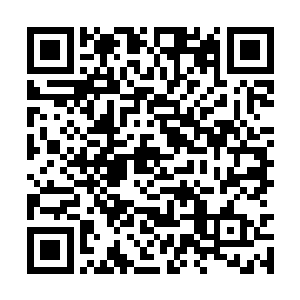 看来只恭喜堡主大人凝聚地之脉轮进阶大地还不够二维码生成