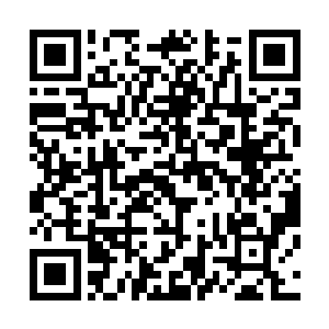 看来叫林若溪这个工作女狂人突然当家庭主妇是不可能的了二维码生成