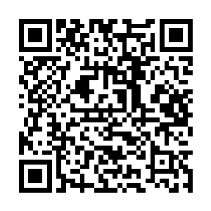 看来对付你还真是麻烦……不过幸好老夫还有这个二维码生成