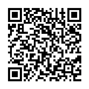 看来已经是咱们这南下军马的囊中之物…………这功劳实在太大二维码生成