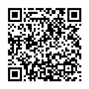 看来张仪伊也把王九九离家出走的责任推到自己身上了二维码生成