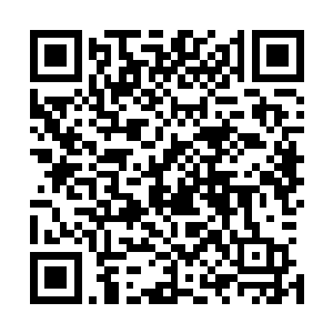 看来张生对阿德耶夫人的影响力还胜过对曾经的阿德耶总统二维码生成