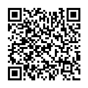 看来我先前在真剑阁内斩断了羊家几名护卫的手臂二维码生成