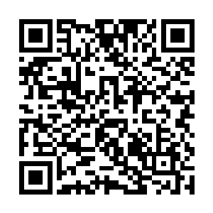 看来我可以放心的修炼血神谱这样的盖世绝学了……二维码生成