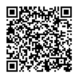 看来等有空的时候可以和日夜研究一下地下的本体生命的用处··二维码生成