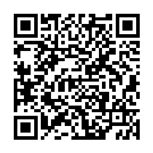 看来自己想要从他身上取回众兄弟面皮担当的头像二维码生成