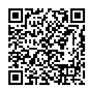 看来自己爷爷那边是休想再轻易得到天字部功法了二维码生成