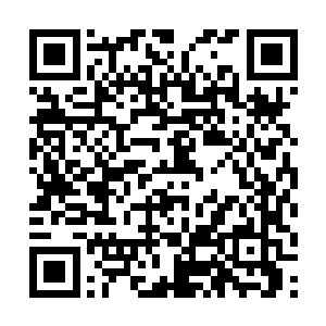 看来自己的形象在这位美女检察官眼里实在有些糟糕二维码生成