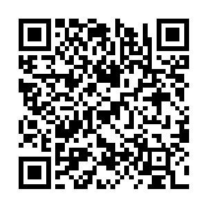 看来萧红和丁长生的关系并没有像计划中那样发展二维码生成
