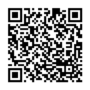 看来还是太小看四位主宰对完善九转神皇诀的信念了二维码生成