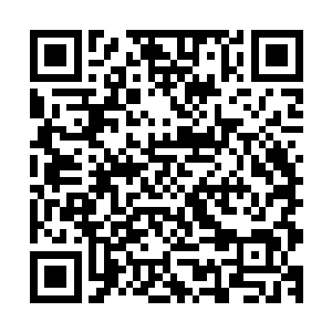 看来这三天内这些修士都已经将这一境界的神龙九变修炼成功二维码生成