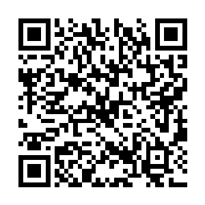 看来这个一向骄横的娘们被岳南山一巴掌甩休克了二维码生成