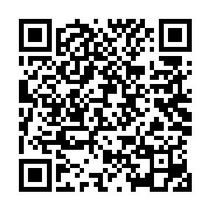 看来这个空无心当初的时候只是在这里留下了一个骗局而已二维码生成