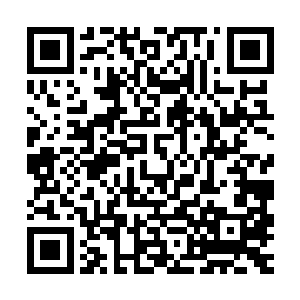 看来这个青龙皇不好对付……难怪澹台创宇提出这样的要求……二维码生成