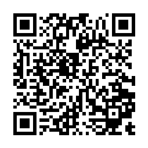 看来这姓尹的人是那老神医的师弟的可能性更大了二维码生成