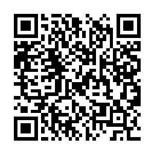 看来这次的武帝洞府和以往真的是有很大的不同啊二维码生成