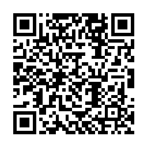看来这磁场反映应该是和阴阳家陈玄机的布局有关了二维码生成