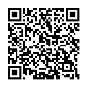 看来这神龙九变的第二变并不是那么容易修炼的二维码生成