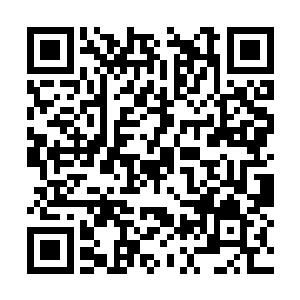 看来这荒古死地对你们这一脉的确有不寻常的好处二维码生成
