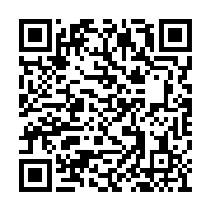 看来这迷族的确适合你调养身子以及孩子的发育二维码生成