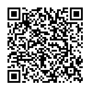 看来那些仙君后期巅峰修士已经完成了对四大族长和许量天的追杀二维码生成